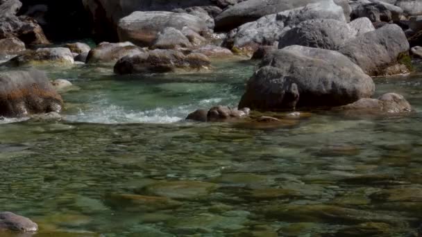 Stones Riverbed Washed Crystal Water Mountain River Streaming Melted Snow — Stock Video