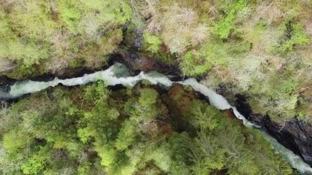 Voss Norveç Teki Bordalsgjelet Geçidi Ndeki Nehrin Muhteşem Kuş Bakışı — Stok video