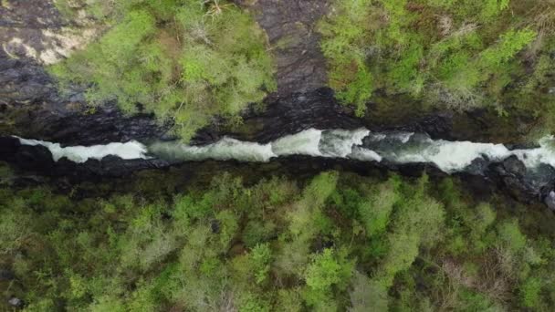 Voss Norveç Teki Bordalsgjelet Vadisi Nde Tepeden Aşağı Hava Manzaralı — Stok video