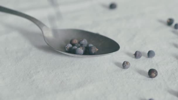 Cuchara Plata Colocada Sobre Mantel Blanco Bayas Enebro Azul Dejan — Vídeos de Stock