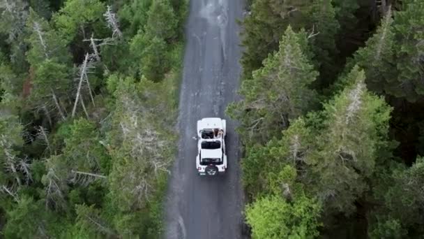 Stowe Forest Road Vermont Taki Cipi Takip Eden Hava Aracı — Stok video