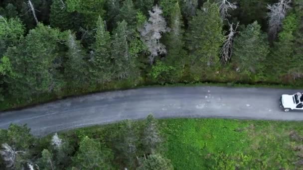 佛蒙特州斯托森林路上的空中无人驾驶吉普车头像 一系列吉普车库存视频 在穿越丛林的野外小径上 丰田越野车在冒险的越野车上停泊 — 图库视频影像