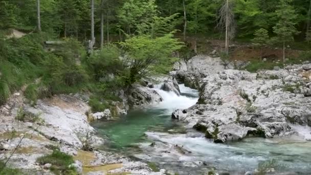 Bonito Calmante Mountain Creek Canyon Handheld Slow Panning Shot — Vídeo de Stock