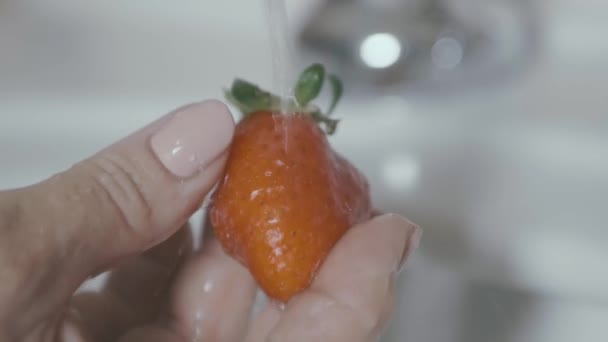 Une Fraise Est Tenue Soigneusement Lavée Sous Eau Ralenti — Video