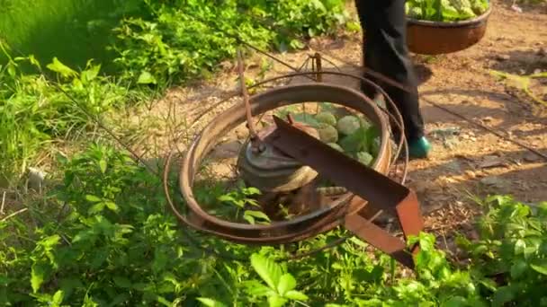 Ruční Záběry Kola Točení Napájení Ziplines Které Zemědělci Používají Nesení — Stock video