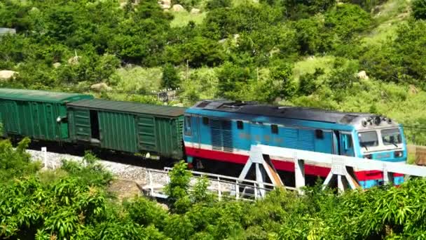 緑の活気のある風景 距離ビューを移動するベトナムの貨物列車 — ストック動画