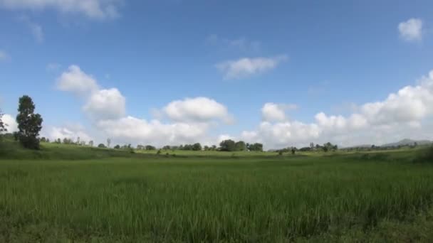 Panorama Van Groene Velden Brahmahgiri West Ghats Van Maharashtra India — Stockvideo