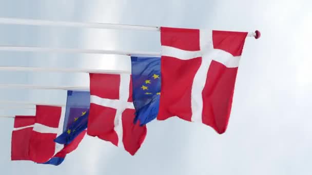 丹麦和欧盟的国旗在多云的阴天飘扬 垂直录像 — 图库视频影像