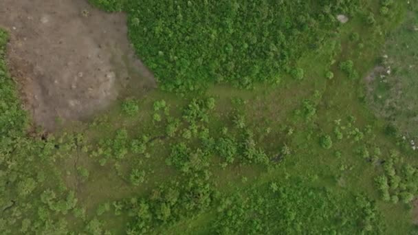 Filmagem Aérea Cima Para Baixo Manchas Queimadura Floresta Selva Nas — Vídeo de Stock