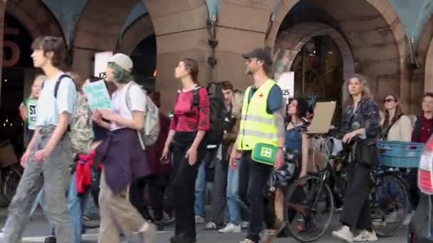 Protestanter Med Skyltar Och Megafoner Vid Klimatmarsch Stockholm — Stockvideo