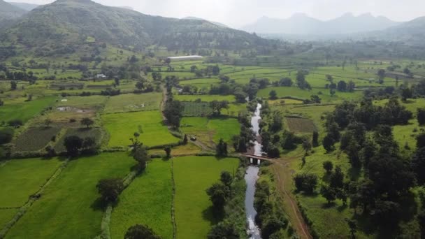 Groene Indiase Velden Trimbakeshwar Buurt Van Nashik West Ghats Maharashtra — Stockvideo