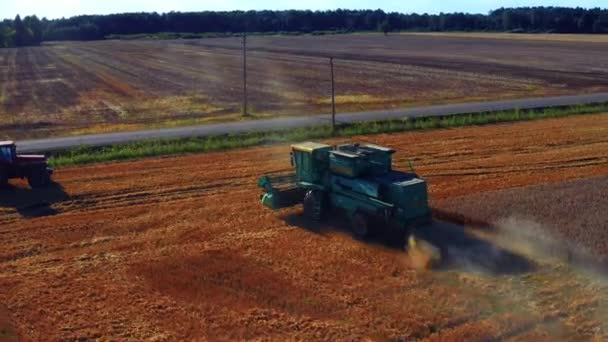 Combine Tractor Harvesting Wheat Field Lithuania Drone Shot — Stock Video