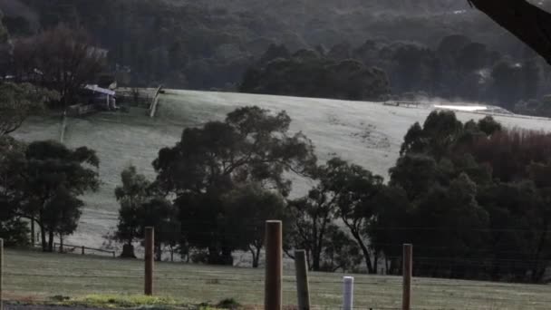 Uma Manhã Fria Inverno Piquetes Rurais Sul Austrália Com Geada — Vídeo de Stock