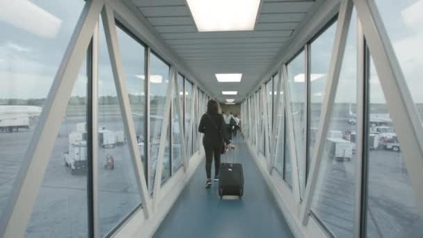 가방을 비행기를 사람의 — 비디오