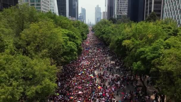 Massive Menschenmenge Multiethnischer Amerikaner Die Für Gay Pride Mexiko Stadt — Stockvideo