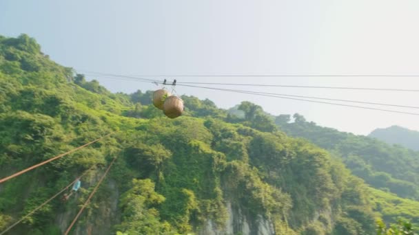 Tracking Shot Basket Full Freshly Picked Custard Apples Coming Zipline — Αρχείο Βίντεο