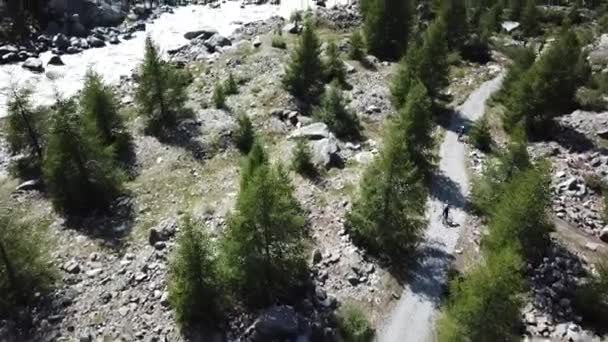 Fluxo Montanha Caminho Cascalho Floresta Abetos Vista Aérea Drone Nos — Vídeo de Stock