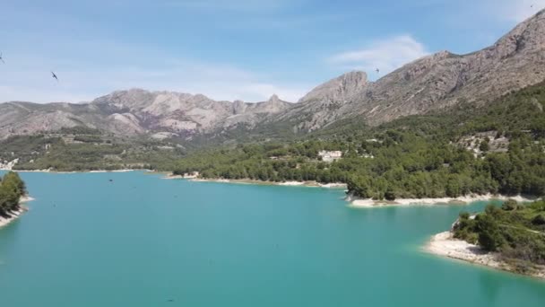 Impressionante Lindo Lago Azul Turquesa Pássaros Voando Céus Ensolarados — Vídeo de Stock