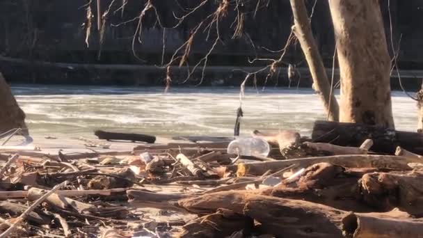 Panning Plastflaska Förorenar Flodsidan Och Miljön — Stockvideo