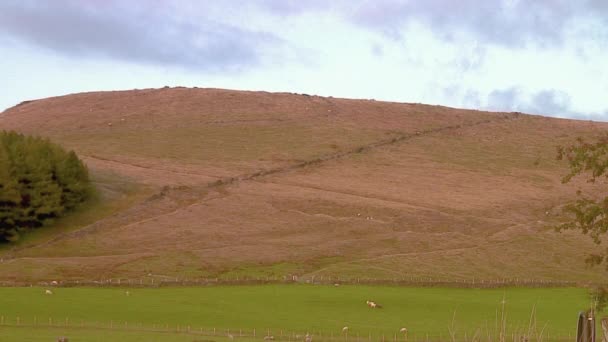 Blick Über Die Landschaft Der Derbyshire Dales Sommer Der Frühen — Stockvideo