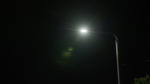 Daleko Szerokie Ujęcie Ulicznego Światła Nocy Cichej Okolicy Nowej Zelandii — Wideo stockowe