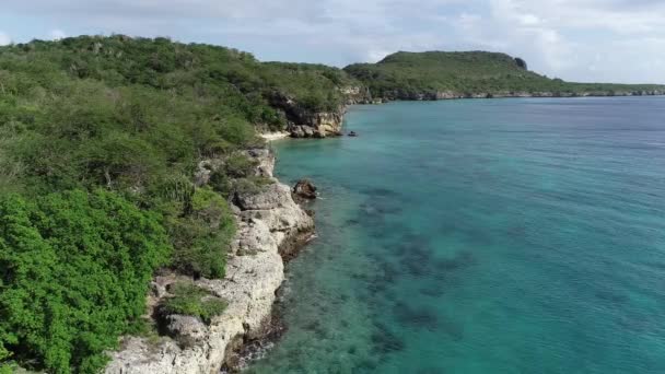 Drone Flying Coast Line Cacti Plants Clear Ocean Water — Stock Video