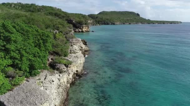 Drone Flying Coast Line Cacti Plants Clear Ocean Water — Stock Video