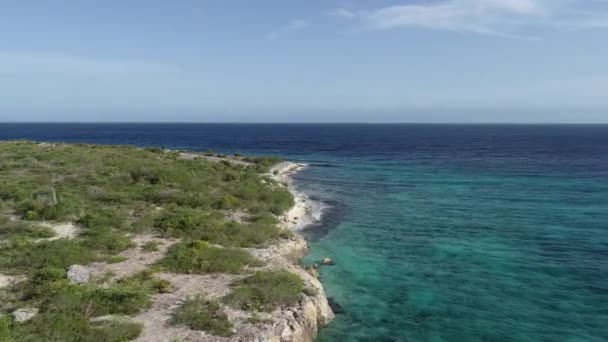 Drone Flying Obe Coral Coastline — Stock Video
