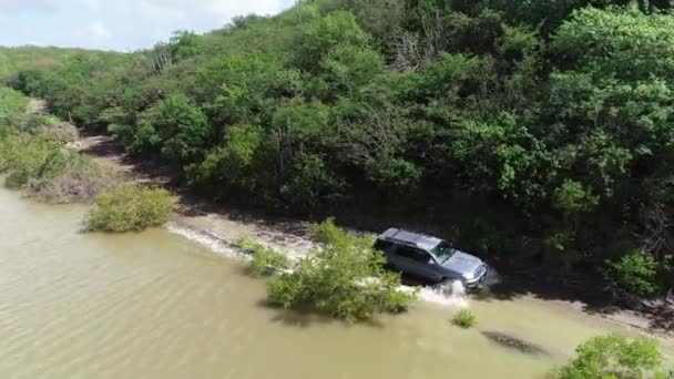 Samochód Jazdy Road Pobliżu Rzeki Strumienia Drone Widok Drzew Kaktusów — Wideo stockowe