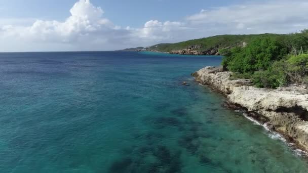 Drone Flying Coast Line Cacti Plants Clear Ocean Water Caribbean — Stock Video