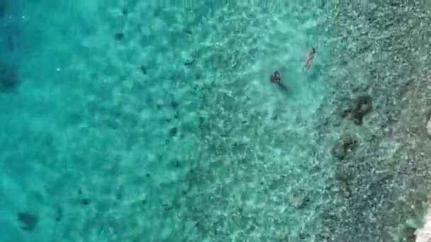 Drone Flying People Swimming Clear Waters — Stock Video