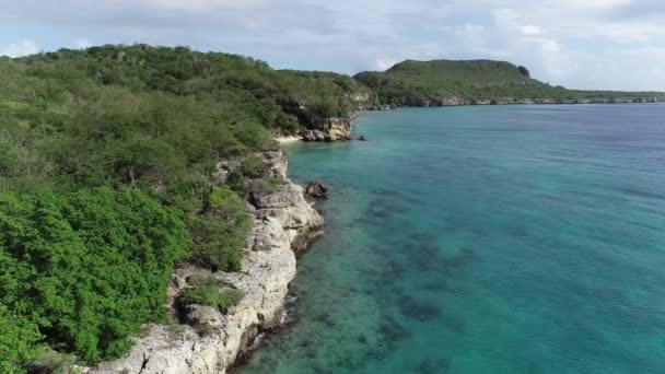 Drone Flying Coast Line Cacti Plants Clear Ocean Water Caribbean — Stock Video