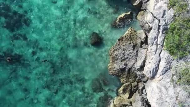 Drone Flying Coral Coastline Clear Water — Stock Video