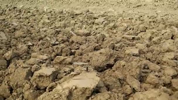 Ploughed Arid Soil Puddles Leftovers Ancona Italy — Stock Video