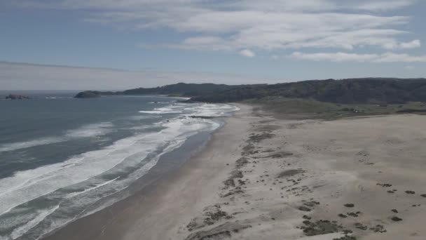 在智利Llani的沙丘中 推着从海岸拍摄的照片 这是在白天拍摄的 后方是一片森林 — 图库视频影像