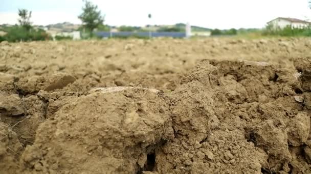 Ausgegrabener Trockener Landwirtschaftlicher Schlammboden Makroaufnahme — Stockvideo