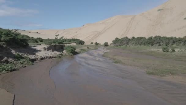 Közel Föld Légi Felvétel Folyó Llani Chile Ahol Homokdűnék Találkoznak — Stock videók