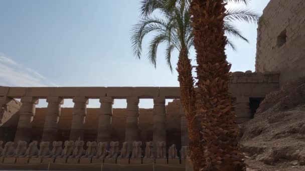Karnak Tapınağındaki Sfenks Bulvarı Manzarası Antik Mısır Uygarlığının Kalıntıları — Stok video