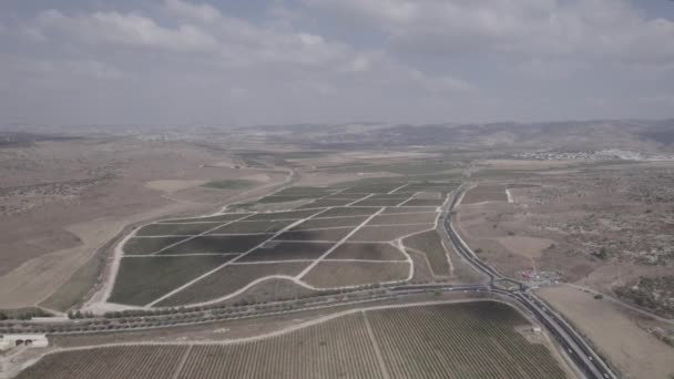 Hermoso Plano Aéreo Valle Con Campos Agrícolas Viñedos Entre Montañas — Vídeos de Stock