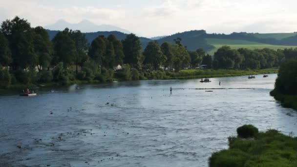 Calme Idyllique Scène Relaxante Rivière Peu Profonde Slovaquie Avec Des — Video