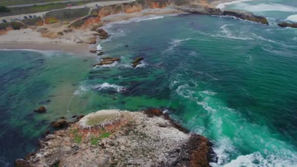 Flock Fåglar Vilar Och Flyger Över Stranden Vid San Gregorio — Stockvideo