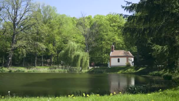 Belle Charmante Chapelle Minuscule Reflétant Dans Étang Vert Calme Avec — Video