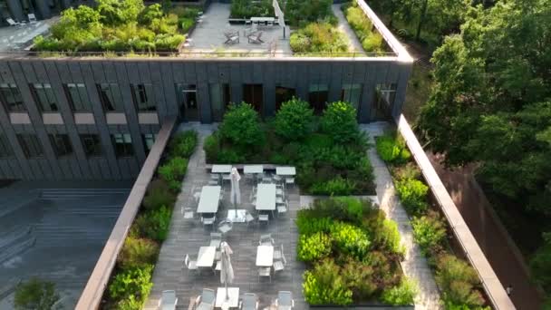 Gezondheid Outdoor Stad Wonen Daktuin Zithoeken Met Groene Planten Groeien — Stockvideo