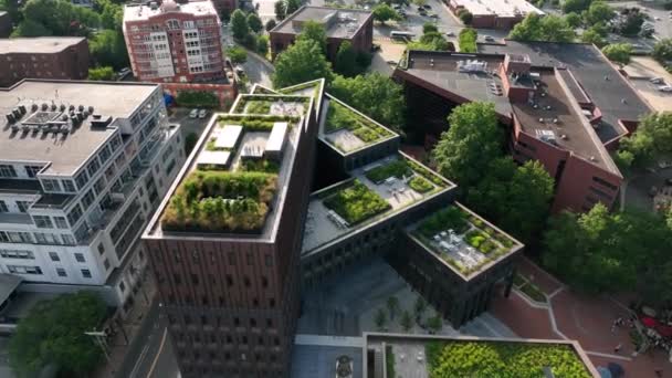 美国城市绿色能源的空中露天天台花园 植物生长在现代建筑中 — 图库视频影像
