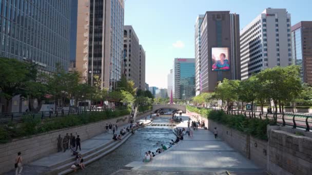 位于首尔市中心 被高耸的写字楼环绕着的昌吉川溪流公园 人们可以在此观光 也可以在河边休息 — 图库视频影像