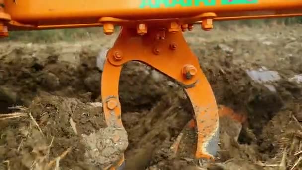 Σκάψτε Χαρακώματα Χρησιμοποιώντας Ένα Πολλαπλό Άροτρο Αυλάκι Στην Αγροτική Macerata — Αρχείο Βίντεο