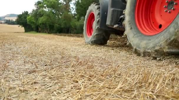 Agricultura Diaria Tractor Arado Campos Siembra Ancona Italia — Vídeo de stock
