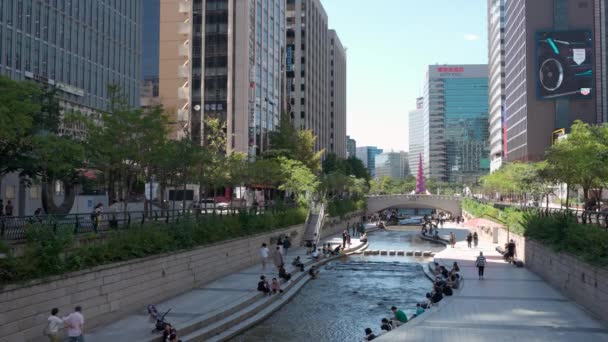 Wunderbare Aussicht Auf Den Cheonggye Bach Der Innenstadt Von Seoul — Stockvideo