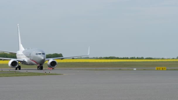 荷兰政府波音737 700在Esbjerg机场着陆 正面静态视图 — 图库视频影像