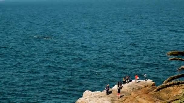 Hermanusのクジラの首都で見る岩の海岸線のクジラの観光客 — ストック動画